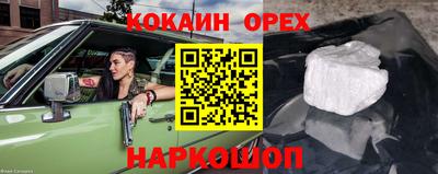 индика Аша