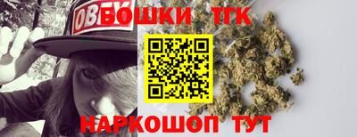 индика Аша