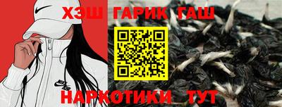 индика Аша